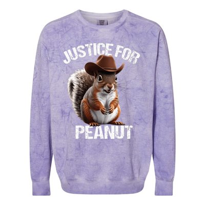 Justice For Peanut The Squirrel Peanut Squirrel Trending Design Colorblast Crewneck Sweatshirt