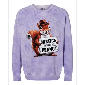 Justice For Peanut The Squirrel Peanut Squirrel Colorblast Crewneck Sweatshirt