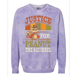 Justice For Peanut The Squirrel Peanut Squirrel Colorblast Crewneck Sweatshirt