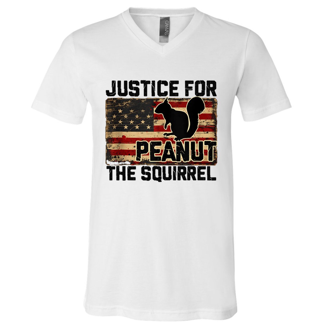 Justice For Peanut The Squirrel Vintage Usa Flag V-Neck T-Shirt