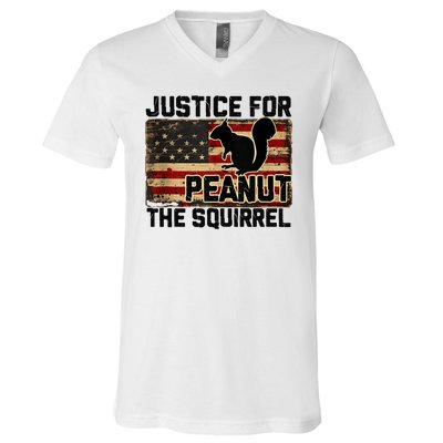 Justice For Peanut The Squirrel Vintage Usa Flag V-Neck T-Shirt