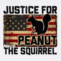 Justice For Peanut The Squirrel Vintage Usa Flag Ladies Essential Flowy Tank
