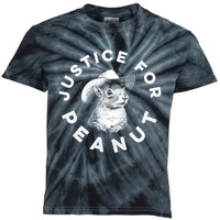 Justice For Peanut The Squirrel Peanut Squirrel Wanted Kids Tie-Dye T-Shirt