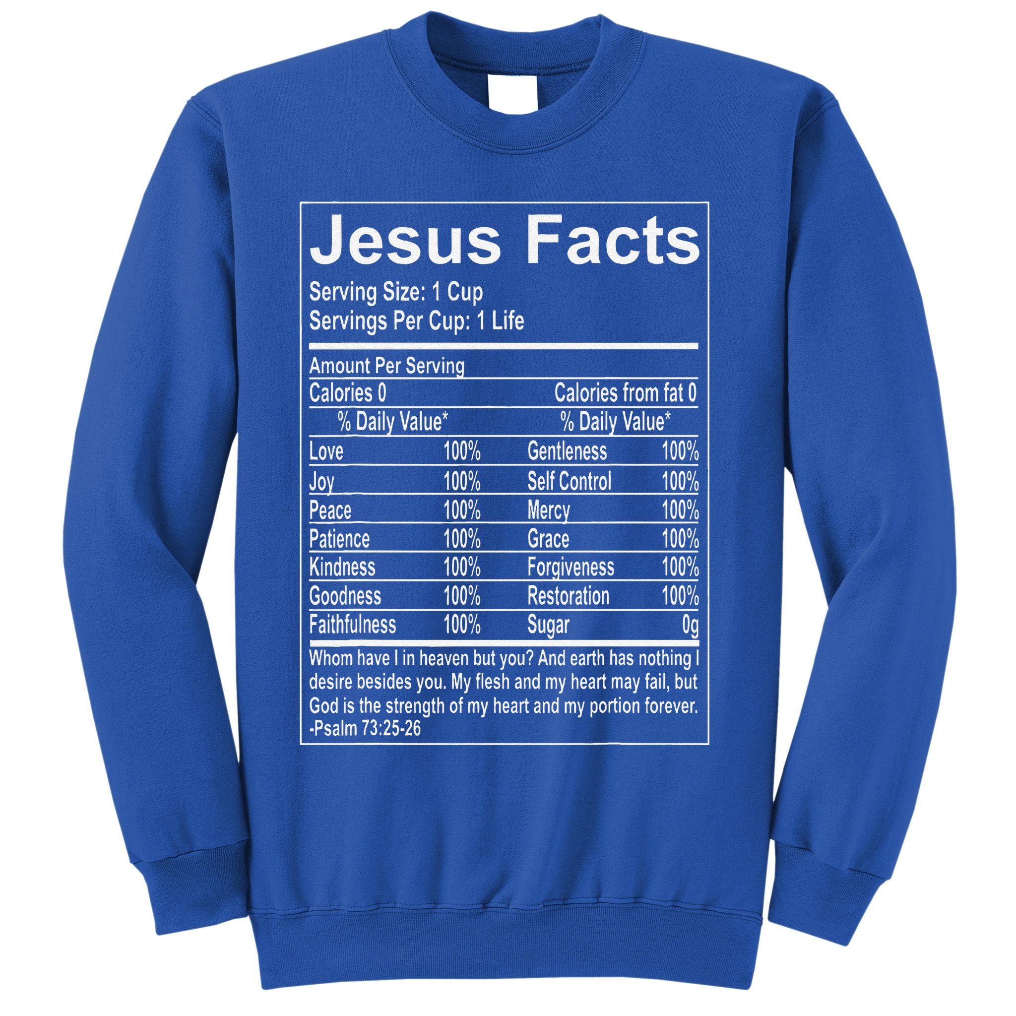 Jesus Facts Religious Studies Catholicism Sweatshirt
