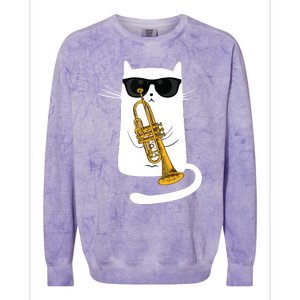 Jazz Funk Soul Cool Cute Cat Playing Trumpet Colorblast Crewneck Sweatshirt