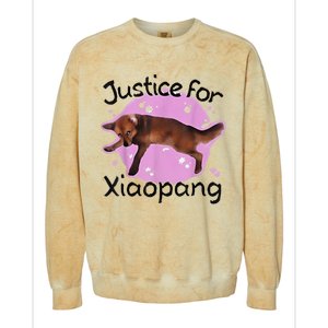 Justice For Xiaopang Colorblast Crewneck Sweatshirt