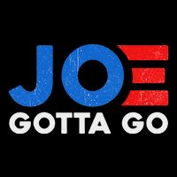 Joe Gotta Go Save America Vote 2024 Pom Pom 12in Knit Beanie