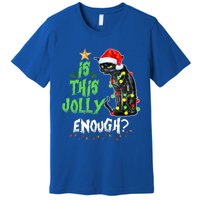 Jolly Grumpy Santa Cat Funny Christmas Cat Lover Funny Gift Great Gift Premium T-Shirt