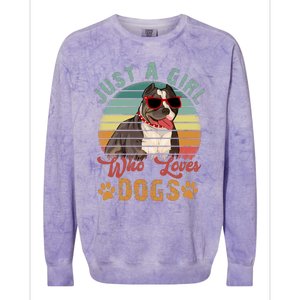 Just Girl Who Loves Dogs Funny Retro Pug Colorblast Crewneck Sweatshirt