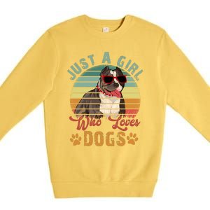 Just Girl Who Loves Dogs Funny Retro Pug Premium Crewneck Sweatshirt