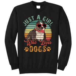 Just Girl Who Loves Dogs Funny Retro Pug Sweatshirt