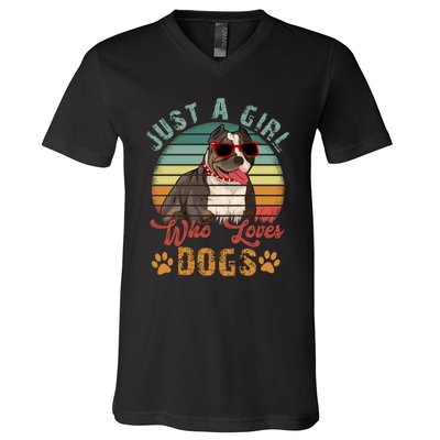 Just Girl Who Loves Dogs Funny Retro Pug V-Neck T-Shirt