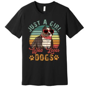 Just Girl Who Loves Dogs Funny Retro Pug Premium T-Shirt