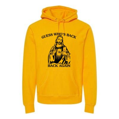 Jesus Guess Who's Back Again Funny Quotes Easter Premium Hoodie