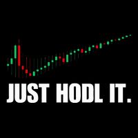 Just Hodl Bitcoin I Cool Btc Bitcoin Flatbill Hat
