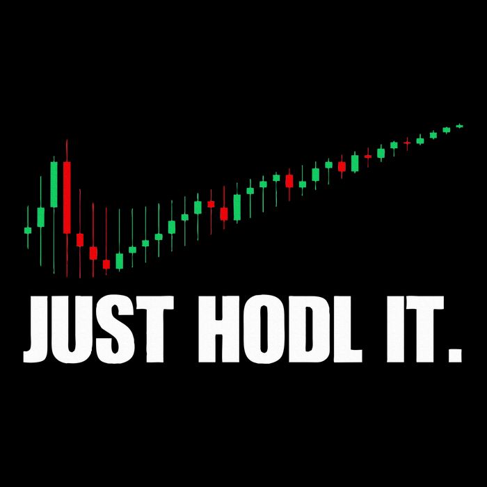 Just Hodl Bitcoin I Cool Btc Bitcoin Flatbill Hat