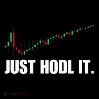 Just Hodl Bitcoin I Cool Btc Bitcoin Youth Performance Sprint T-Shirt