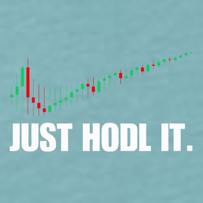 Just Hodl Bitcoin I Cool Btc Bitcoin Sueded Cloud Jersey T-Shirt