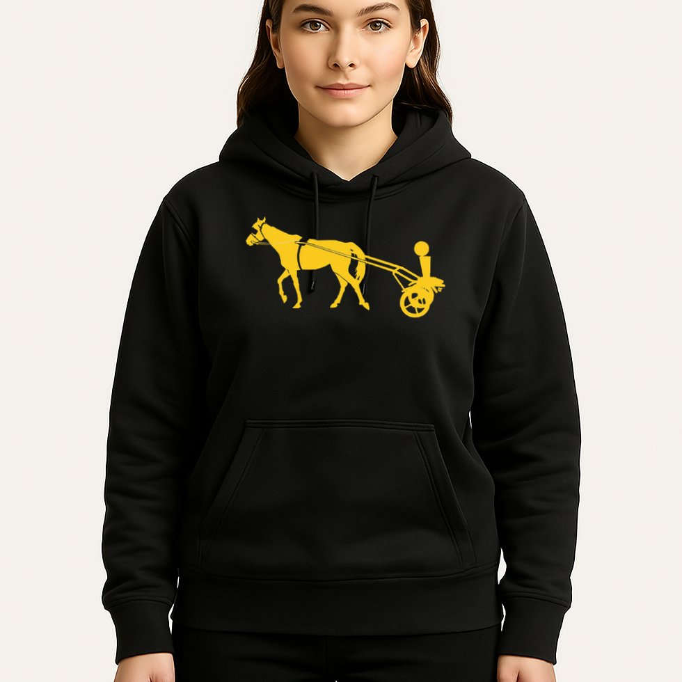 Joker Horse Cart Denver Basketball Hoodie