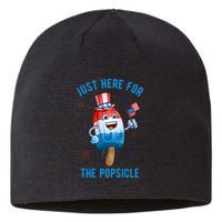 Just Here For The Popsicle 4th Of July Funny Festive Sustainable Beanie