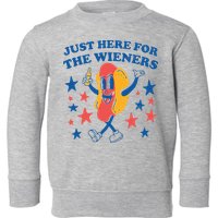 Just Here For The Wieners 4th Of July Funny Hot Dot Toddler Sweatshirt