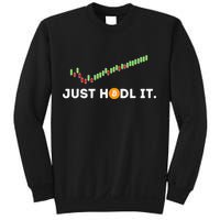 Just HODL It Funny Crypto Trader BTC Bitcoin Investor Sweatshirt