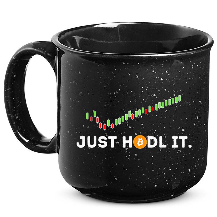Just HODL It Funny Crypto Trader BTC Bitcoin Investor 15oz Campfire Ceramic Mug
