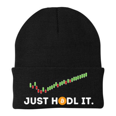 Just HODL It Funny Crypto Trader BTC Bitcoin Investor Beanie
