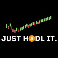 Just HODL It Funny Crypto Trader BTC Bitcoin Investor Poster