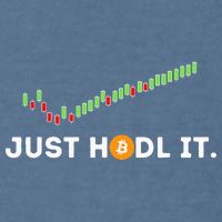 Just HODL It Funny Crypto Trader BTC Bitcoin Investor Garment-Dyed Sweatshirt