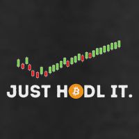 Just Hodl It Funny Crypto Trader Btc Bitcoin Investor Adult Drive Performance Visor