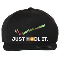 Just Hodl It Funny Crypto Trader Btc Bitcoin Investor Wool Snapback Cap