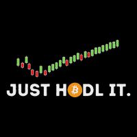Just Hodl It Funny Crypto Trader Btc Bitcoin Investor Wool Snapback Cap