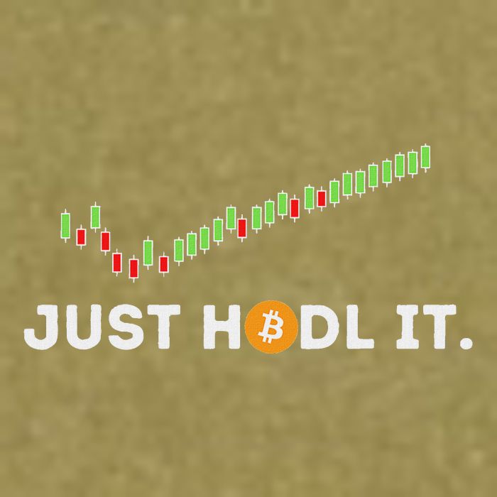Just Hodl It Funny Crypto Trader Btc Bitcoin Investor Garment-Dyed Women's Muscle Tee