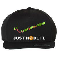 Just Hodl It Funny Crypto Trader Btc Bitcoin Investor Wool Snapback Cap