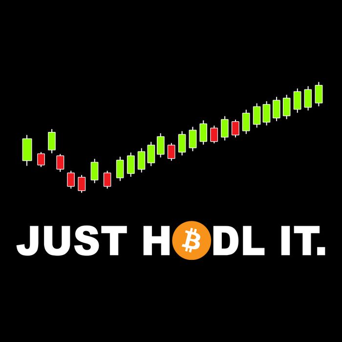 Just Hodl It Funny Crypto Trader Btc Bitcoin Investor Wool Snapback Cap