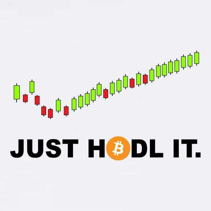 Just Hodl It Funny Crypto Trader Btc Bitcoin Investor Garment-Dyed Sweatshirt