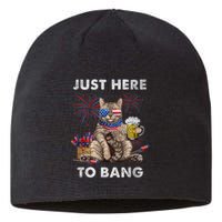 Just Here To Bang USA Flag Funny Beer 4th Of July Cat Lover Sustainable Beanie