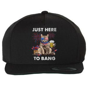 Just Here To Bang USA Flag Funny Beer 4th Of July Cat Lover Wool Snapback Cap