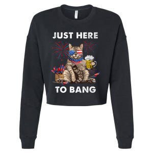 Just Here To Bang USA Flag Funny Beer 4th Of July Cat Love Cropped Pullover Crew