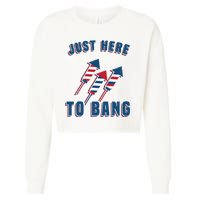 Just Here To Bang Funny 4th Of July Cropped Pullover Crew