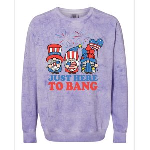 Just Here To Bang Gnome 4th Of July Colorblast Crewneck Sweatshirt