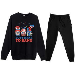 Just Here To Bang Gnome 4th Of July Premium Crewneck Sweatsuit Set