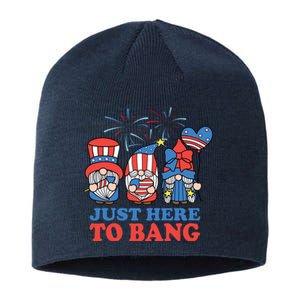 Just Here To Bang Gnome 4th Of July Sustainable Beanie