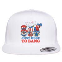 Just Here To Bang Gnome 4th Of July Flat Bill Trucker Hat