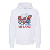 Just Here To Bang Gnome 4th Of July Premium Hoodie