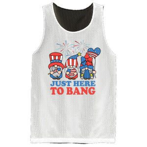 Just Here To Bang Gnome 4th Of July Mesh Reversible Basketball Jersey Tank