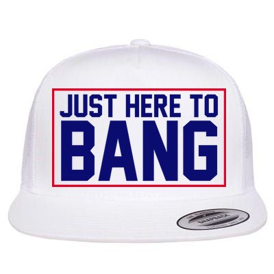 Just Here To Bang 4th Of July Flatbill Hat