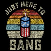 Just Here to Bang Funny 4th of July Fourth of July Wool Snapback Cap