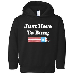 Just Here To Bang 4th Of July Usa American Flag Toddler Hoodie